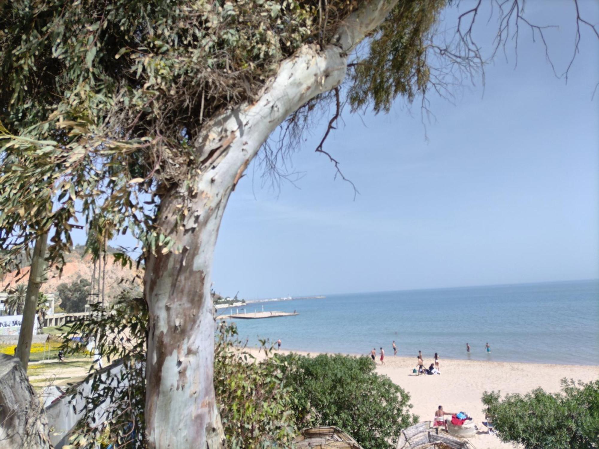 Marsa - Sidi Bousaid Lovely Authentic Apartment ลาร์มาร์ซา ภายนอก รูปภาพ